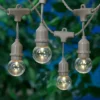 15-Count UL LED G40 Globe String Light Set, Taupe Wire