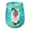 2-Wick Blue Citronella Jar Candle, 18oz