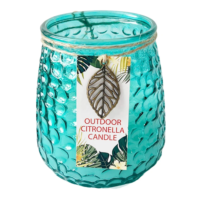 2-Wick Blue Citronella Jar Candle, 18oz 1 2-Wick Blue Citronella Jar Candle, 18oz