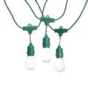 30-Count UL D40 Commercial Style Edison Bulb, Green Wire