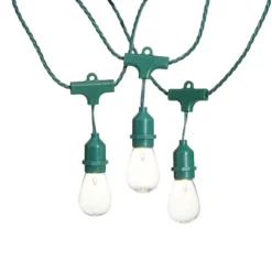 30-Count UL D40 Commercial Style Edison Bulb, Green Wire