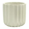 Honeybloom Indoor Carved Cream Cement Pot, 7"