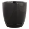 Indoor Elsie Black Stoneware Ceramic Pot, 6"