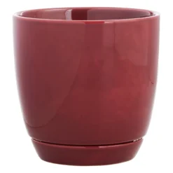 Indoor Elsie Red Stoneware Ceramic Pot, 6"