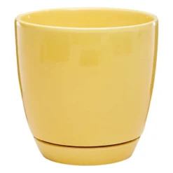 Indoor Elsie Yellow Stoneware Ceramic Pot, 6"