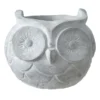 Indoor Owl Shaped Concrete Planter, 10"