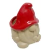 Indoor Red Gnome Ceramic Planter, 6"