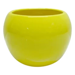 Indoor Smooth Yellow Ceramic Pot, 4.5"