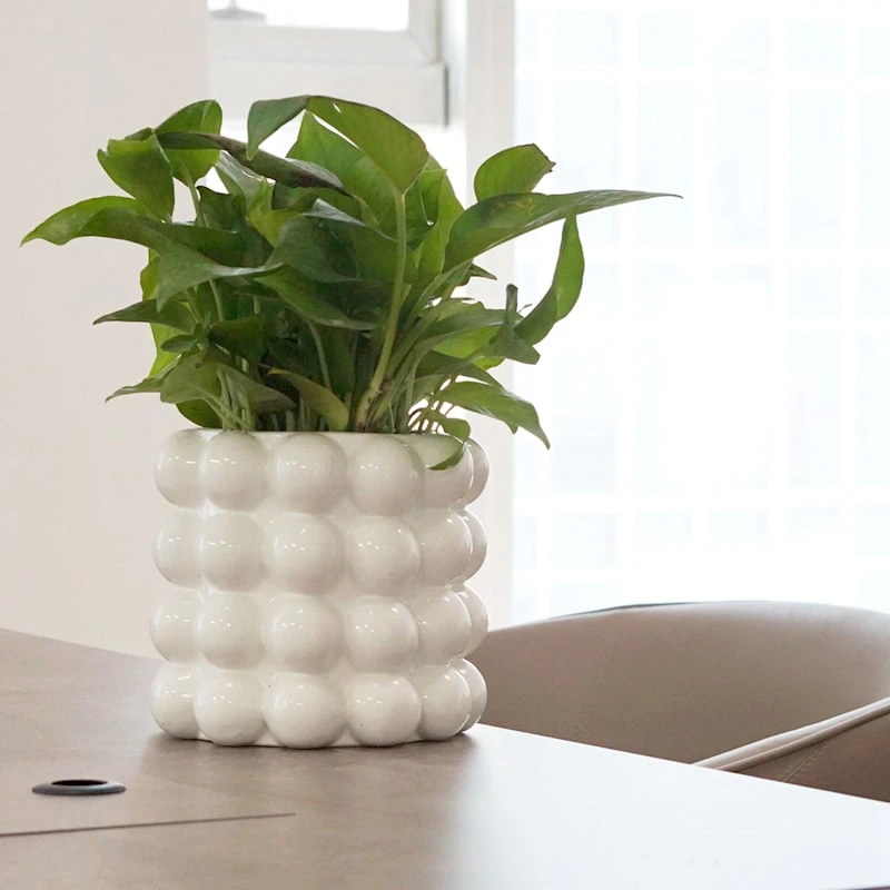 Indoor White Bubble Ceramic Pot, 6.7" 2 Indoor White Bubble Ceramic Pot, 6.7" - Image 2