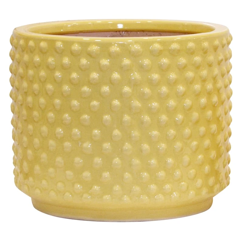 Indoor Yellow Glazed Embossed Dots Ceramic Pot, Large 1 Indoor Yellow Glazed Embossed Dots Ceramic Pot, Large