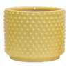 Indoor Yellow Glazed Embossed Dots Ceramic Pot, Medium