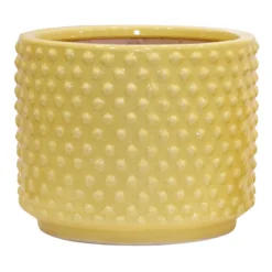 Indoor Yellow Glazed Embossed Dots Ceramic Pot, Medium